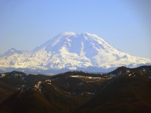 Mt. Rainier Landscape