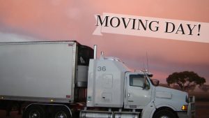 moving day prepare for your moving day