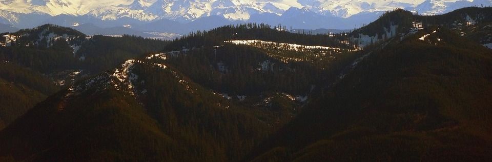 Long Distance Tacoma Movers Washington Mountains