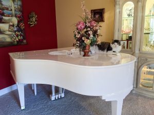 Cat laying on white piano